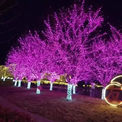 园林景观亮化